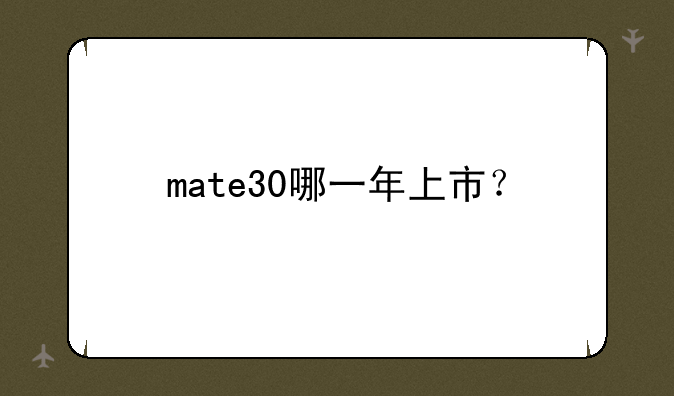 mate30哪一年上市？