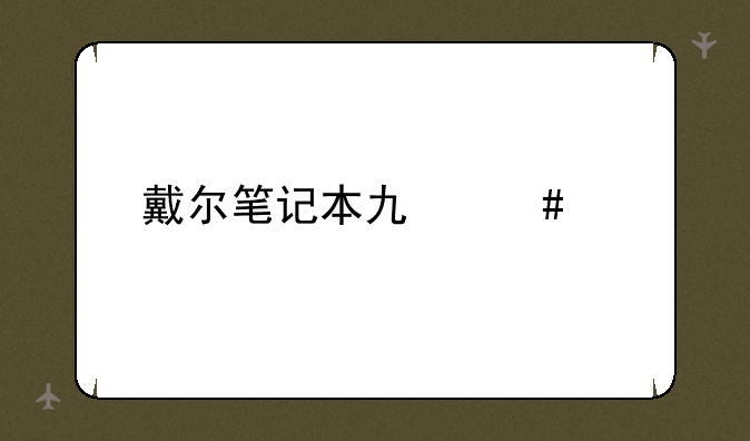 戴尔笔记本也么样