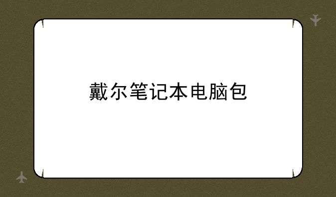 戴尔笔记本电脑包