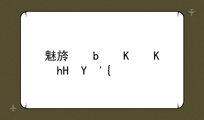 魅族是什么意思？