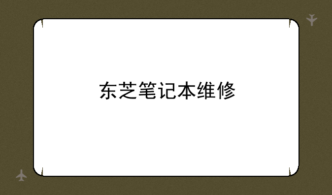 东芝笔记本维修