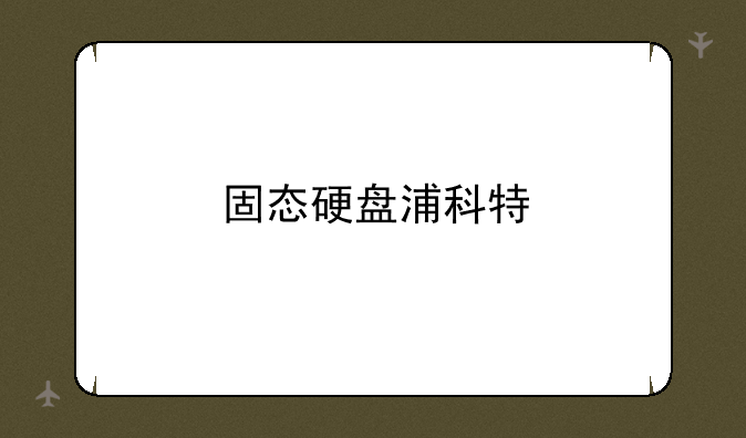 固态硬盘浦科特