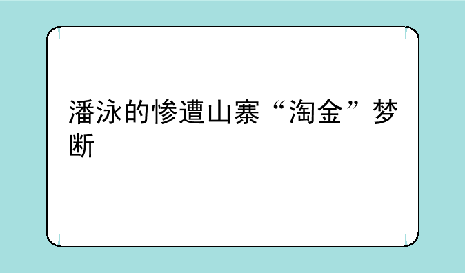潘泳的惨遭山寨“淘金”梦断