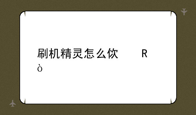 刷机精灵怎么使用？