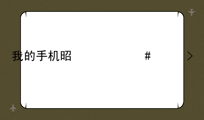 我的手机是什么平台
