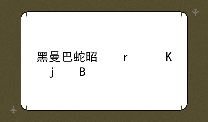黑曼巴蛇是最毒的吗