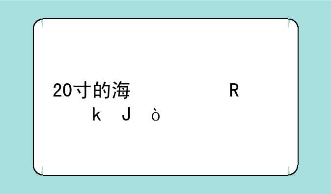 20寸的海信电视多钱？