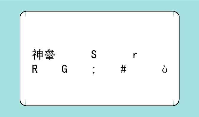 神舟笔记本电脑怎么样？