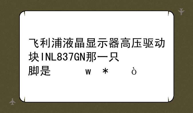 飞利浦液晶显示器高压驱动块INL837GN那一只脚是保护？
