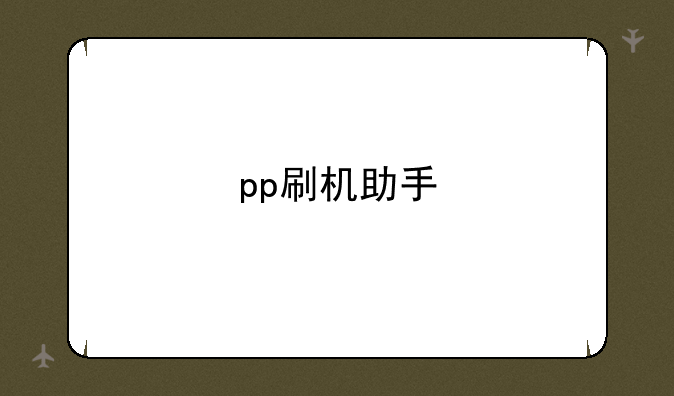 pp刷机助手