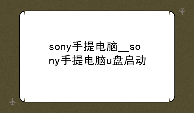 sony手提电脑__sony手提电脑u盘启动