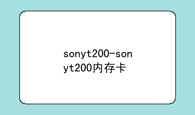sonyt200-sonyt200内存卡