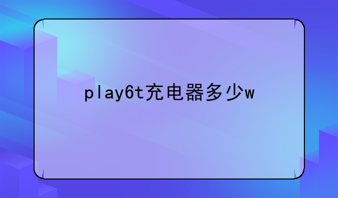 play6t充电器多少w