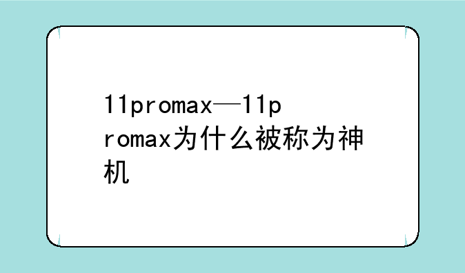 11promax—11promax为什么被称为神机