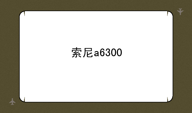 索尼a6300