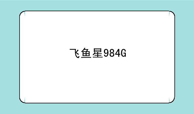 飞鱼星984G