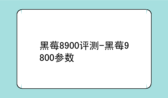 黑莓8900评测-黑莓9800参数