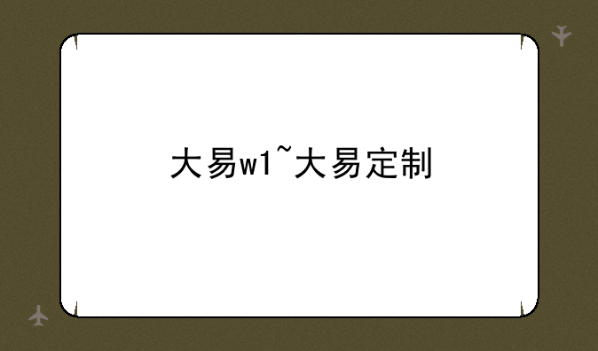 大易w1~大易定制