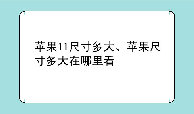 苹果11尺寸多大、苹果尺寸多大在哪里看