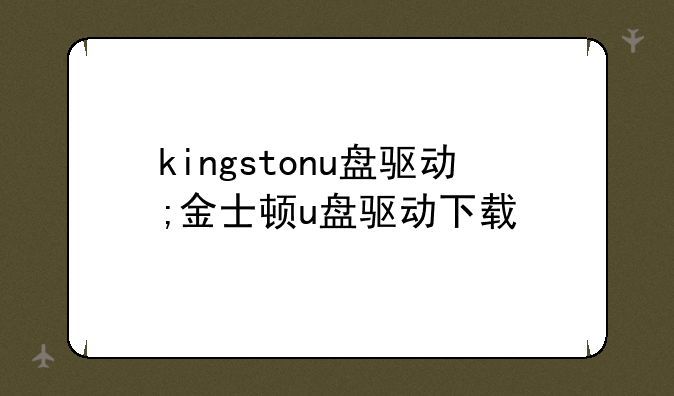 kingstonu盘驱动;金士顿u盘驱动下载